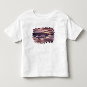 Camiseta Infantil Islândia, Lagoa Jokulsarlon, Paisagem
