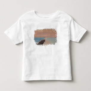 Camiseta Infantil Israel, Mar Morto, Ein Bokek, Mar Morto, crepúscul