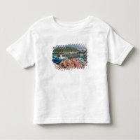 ITÁLIA, Campânia, (Baía de Nápoles), ISCHIA, FORIO