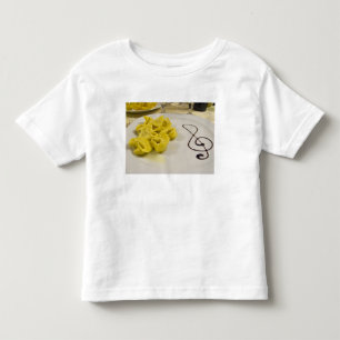 Camiseta Infantil Itália, Cento. Um prato de tortellini de queijo