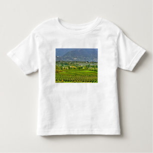 Camiseta Infantil Itália, Lago Garda. As margens do Lago Garda são