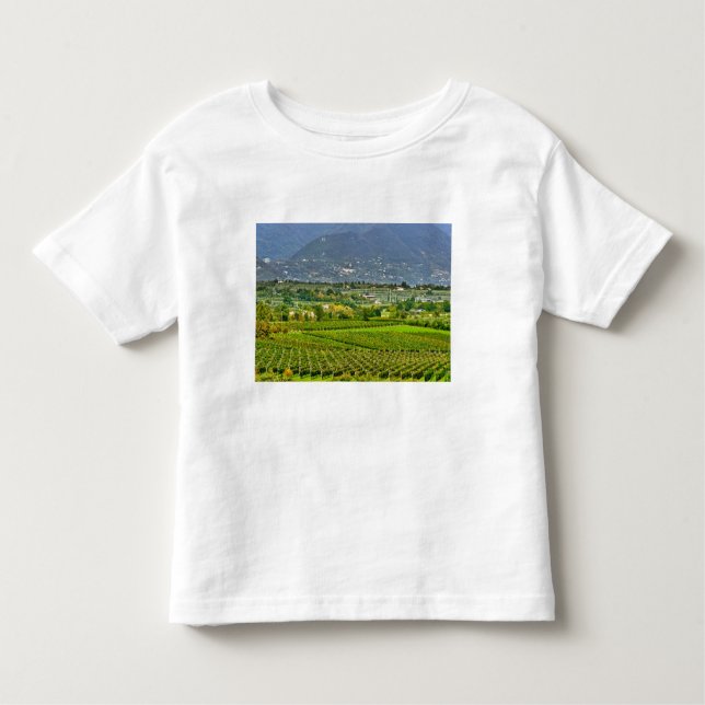 Camiseta Infantil Itália, Lago Garda. As margens do Lago Garda são (Frente)