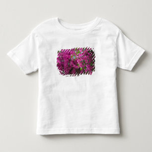 Camiseta Infantil Itália, Sicília, Cefalù, Pátio Florido por