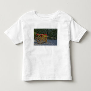 Camiseta Infantil Itália, Toscana. Gerânios vermelhos escorrem de um