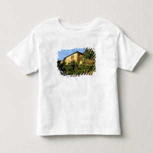 Camiseta Infantil Itália, Toscana, Greve. Cenas de vinho no final do