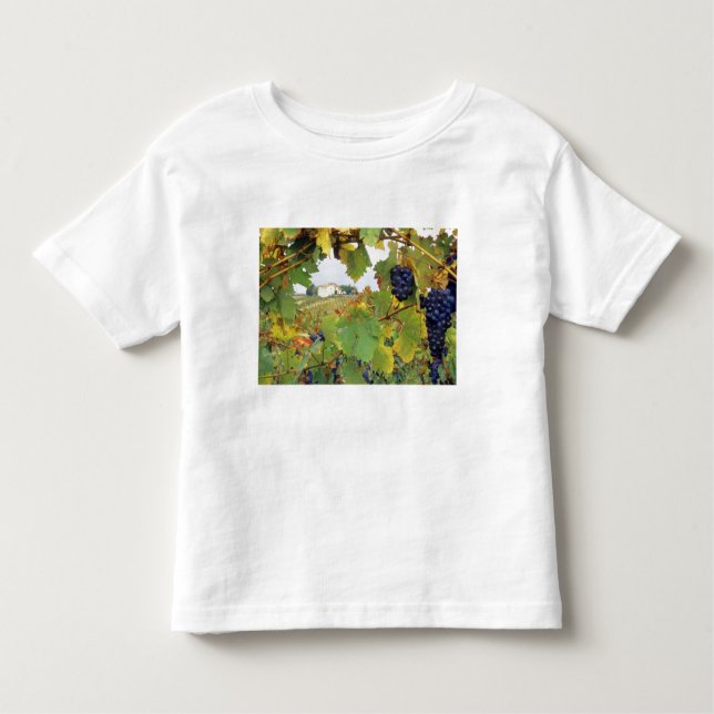 Camiseta Infantil Itália, Toscânia Farmhouse foi vista através de (Frente)