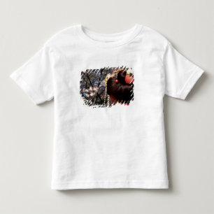 Camiseta Infantil Japão, Kyoto. Vista traseira aproximada da geisha
