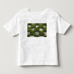 Camiseta Infantil Japão, Quioto, Templo Tofukuji, Jardim