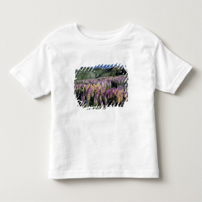 Camiseta Infantil JARBIDGE WILDERNESS, NEVADA. EUA. Lupina (Frente)