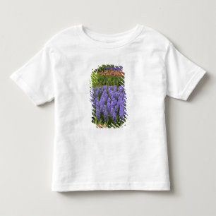 Camiseta Infantil Jardim de Tulipas e Jacintos, Jardins Keukenhof,