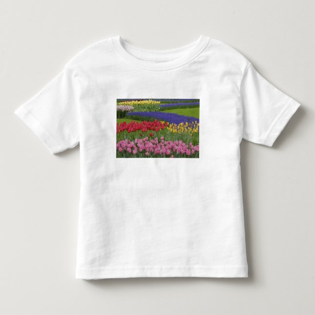 Camiseta Infantil Jardim de tulipas, jacintos e (Frente)