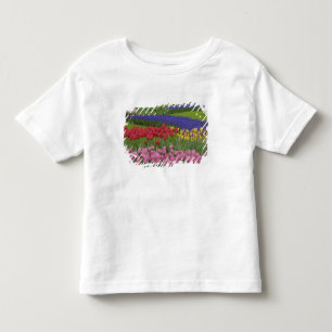 Camiseta Infantil Jardim de tulipas, jacintos e