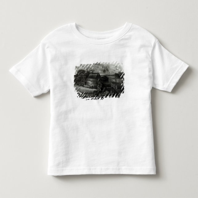 Camiseta Infantil Jardim do urso, 1647 (Frente)