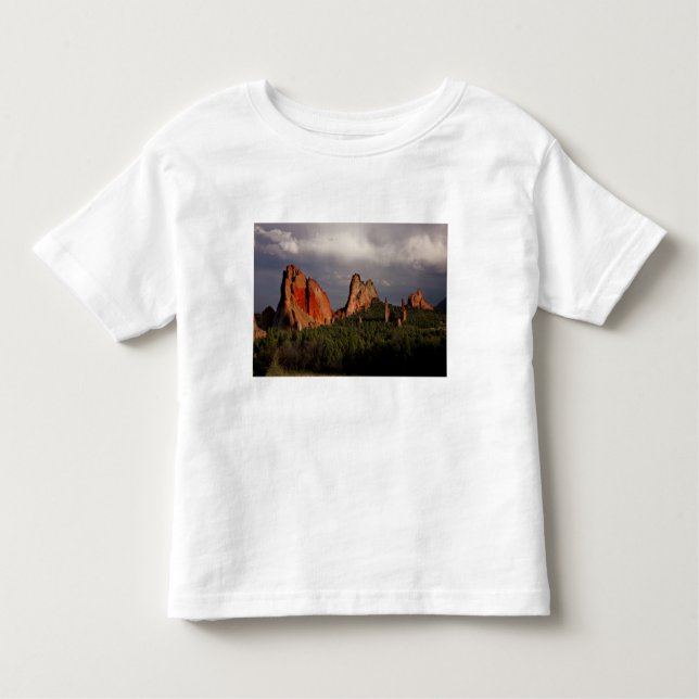 Camiseta Infantil Jardim dos Deuses (Frente)