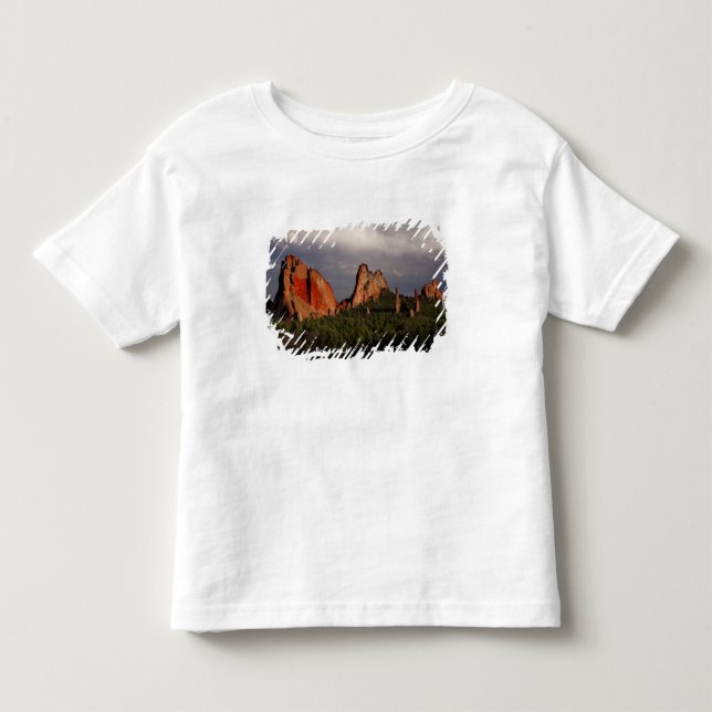 Camiseta Infantil Jardim dos Deuses (Frente)