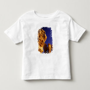 Camiseta Infantil Jardim dos Diabos no Grand Staircase Escalante