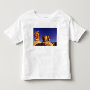 Camiseta Infantil Jardim dos Diabos no Grand Staircase Escalante 2