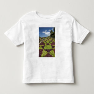Camiseta Infantil Jardins Botânicos, Funchal, Ilhas da Madeira,