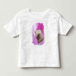 Camiseta Infantil Jardins Keukenhof, Holanda, especializa-se em 3
