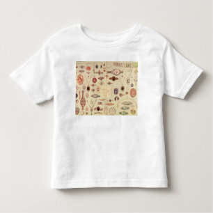Camiseta Infantil Jóia de "do catálogo Tiffany", 1890