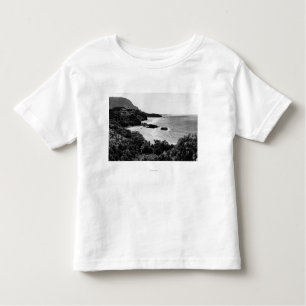 Camiseta Infantil Kauai, Havaí - vista da baía & da praia de Lumahai