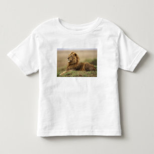 Camiseta Infantil Kenya, Masai Mara. Leão do homem adulto na térmi