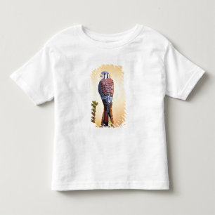 Camiseta Infantil Kestrel, Falco sparverius, Nativo para EUA e Canad