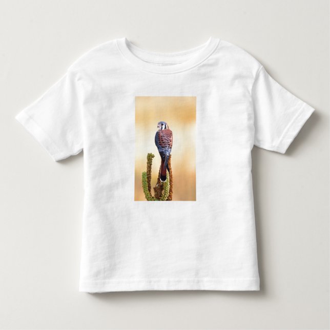Camiseta Infantil Kestrel, Falco sparverius, Nativo para EUA e Canad (Frente)
