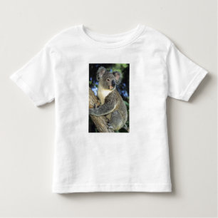 Camiseta Infantil Koala, Phascolarctos cinereus), Austrália,