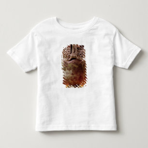 Camiseta Infantil Krater, do Tumba de uma Princesa de Vix