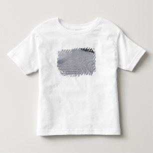 Camiseta Infantil Kyoto, Templo Kodai-ji, Padrões de Areia Rastejada