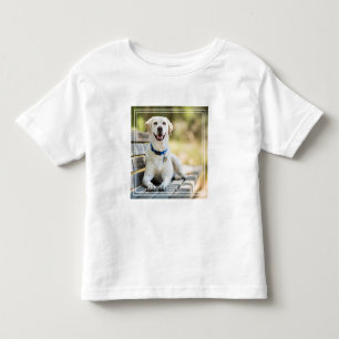 Camiseta Infantil Labrador Amarelo Fica No Banco
