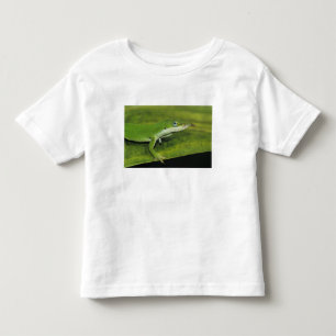 Camiseta Infantil Lagarto-verde, Anolis carolinensis, adulto em palm