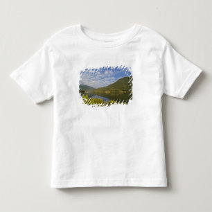 Camiseta Infantil Lago Kootenay em Nelson, Colúmbia Britânica