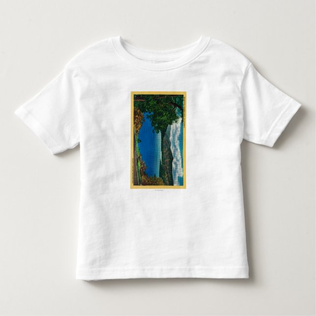 Camiseta Infantil Lago ViewShasta Shasta, CA (Frente)
