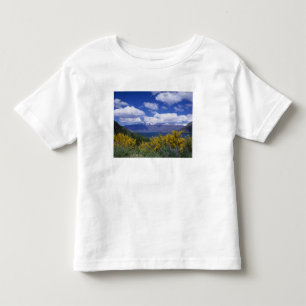 Camiseta Infantil Lago Wakatipu e os Remarkables, Queenstown,