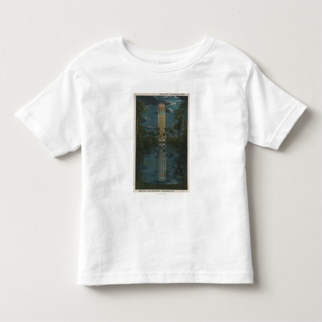 Camiseta Infantil Lago Wales, FL - vista do lago & do canto Mt. (Frente)