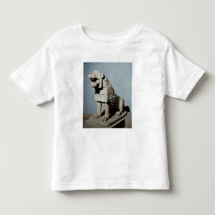 Camiseta Infantil Leão