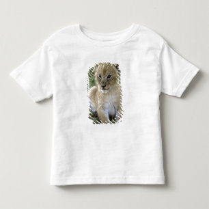 Camiseta Infantil leão-africano, Panthera leo), Tanzânia,