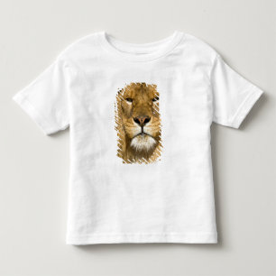 Camiseta Infantil Leão Berbere Africano, Panthera leo leo, um dos