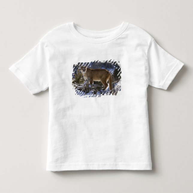 Camiseta Infantil Leão-da-montanha (Frente)