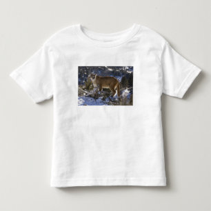 Camiseta Infantil Leão-da-montanha