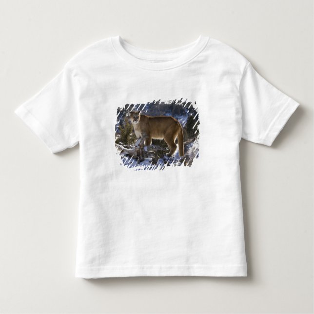 Camiseta Infantil Leão de montanha (Frente)