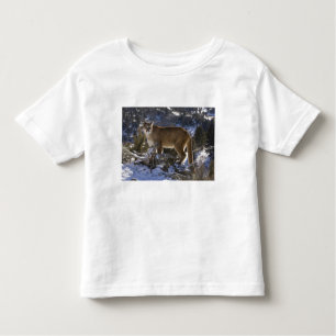 Camiseta Infantil Leão de montanha