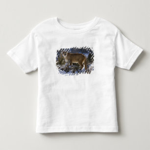 Camiseta Infantil Leão de montanha, aka puma, puma; Concolor do