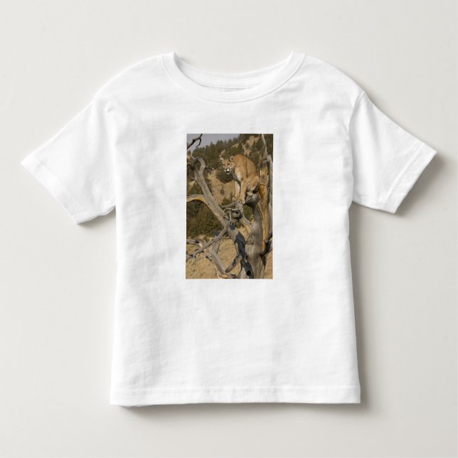 Camiseta Infantil Leão de Montanha, também conhecido como puma, cuma (Frente)