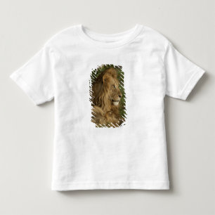 Camiseta Infantil Leão, Panthera leo, Lower Mara, Masai Mara GR,