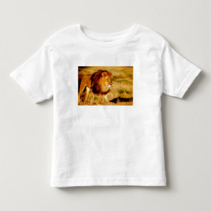 Camiseta Infantil Leão Solitário