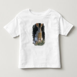 Camiseta Infantil Lebre-de-cauda-preta, Lepus californicus, 2