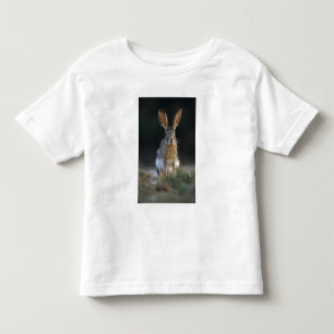 Camiseta Infantil Lebre-de-cauda-preta, Lepus californicus, 2